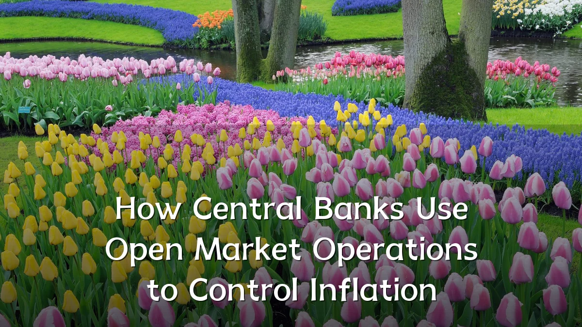 How Central Banks Use Open Market Operations to Control Inflation