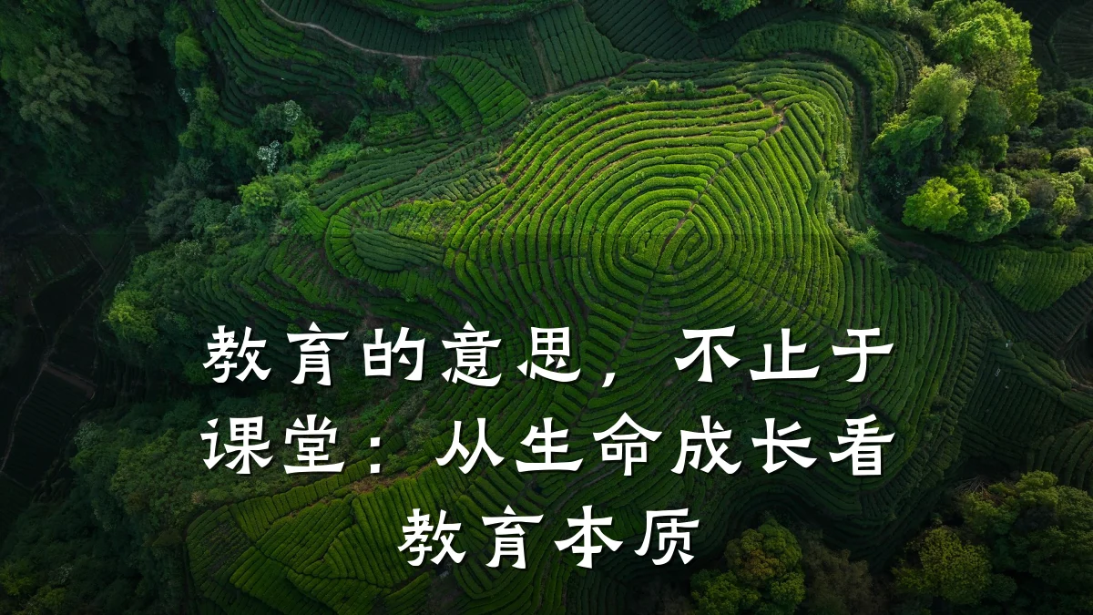 教育的意思，不止于课堂：从生命成长看教育本质