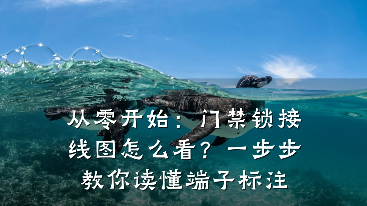 从零开始：门禁锁接线图怎么看？一步步教你读懂端子标注