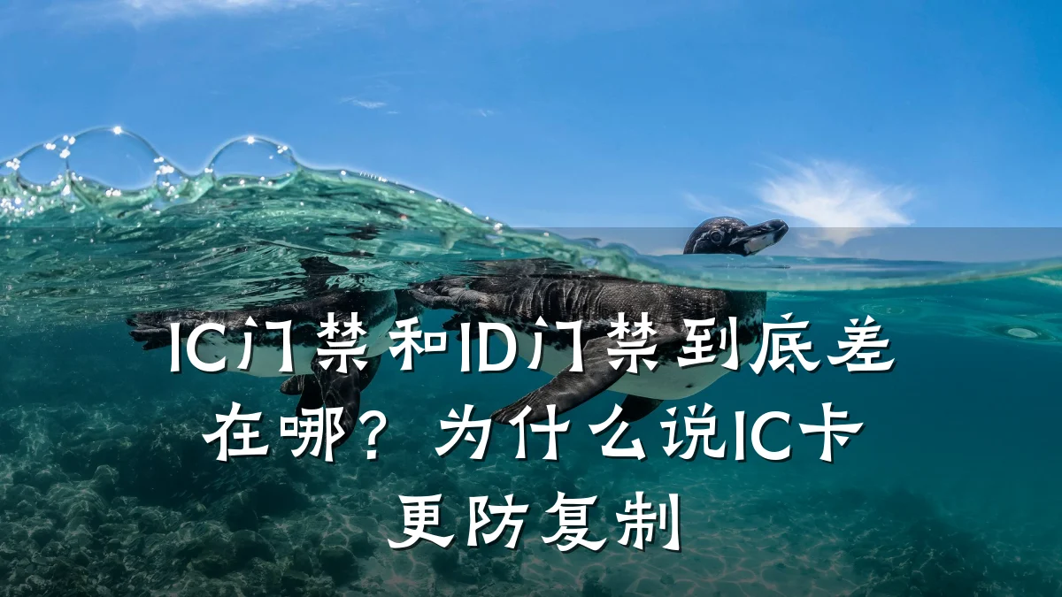 IC门禁和ID门禁到底差在哪？为什么说IC卡更防复制