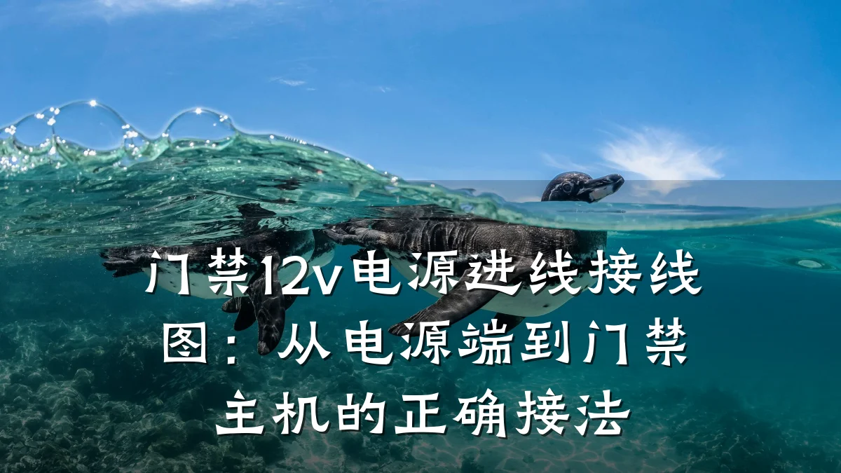 门禁12v电源进线接线图：从电源端到门禁主机的正确接法