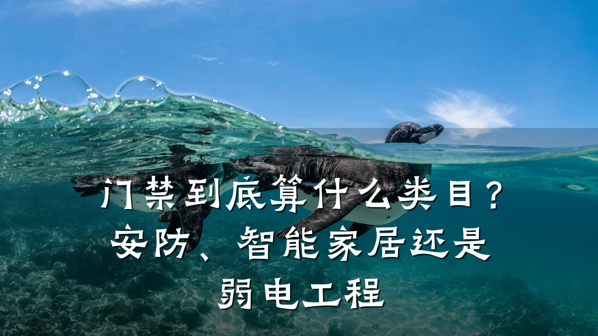 门禁到底算什么类目？安防、智能家居还是弱电工程
