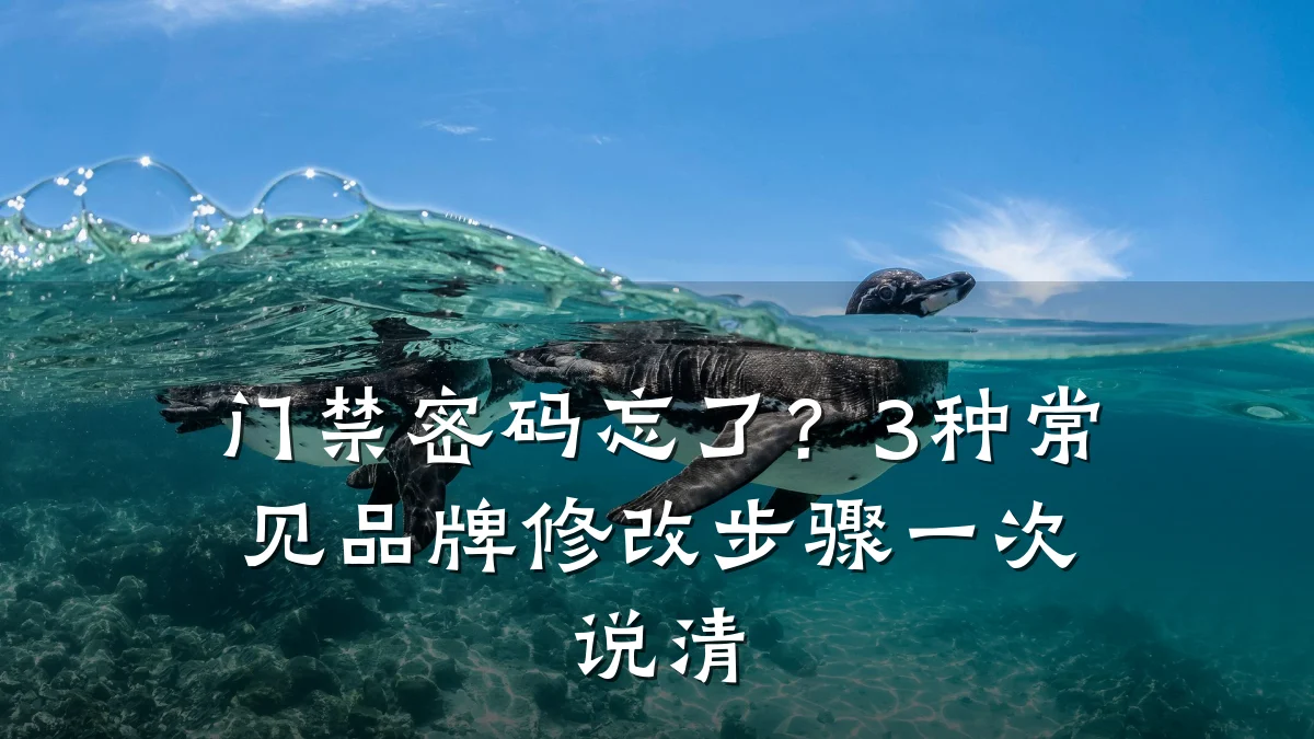 门禁密码忘了？3种常见品牌修改步骤一次说清