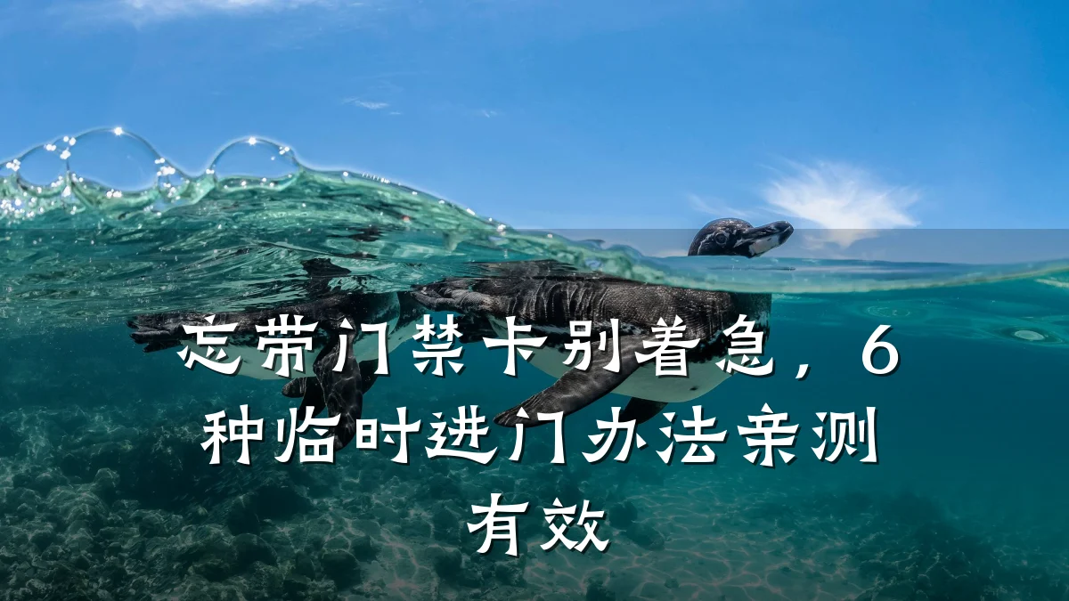 忘带门禁卡别着急，6种临时进门办法亲测有效