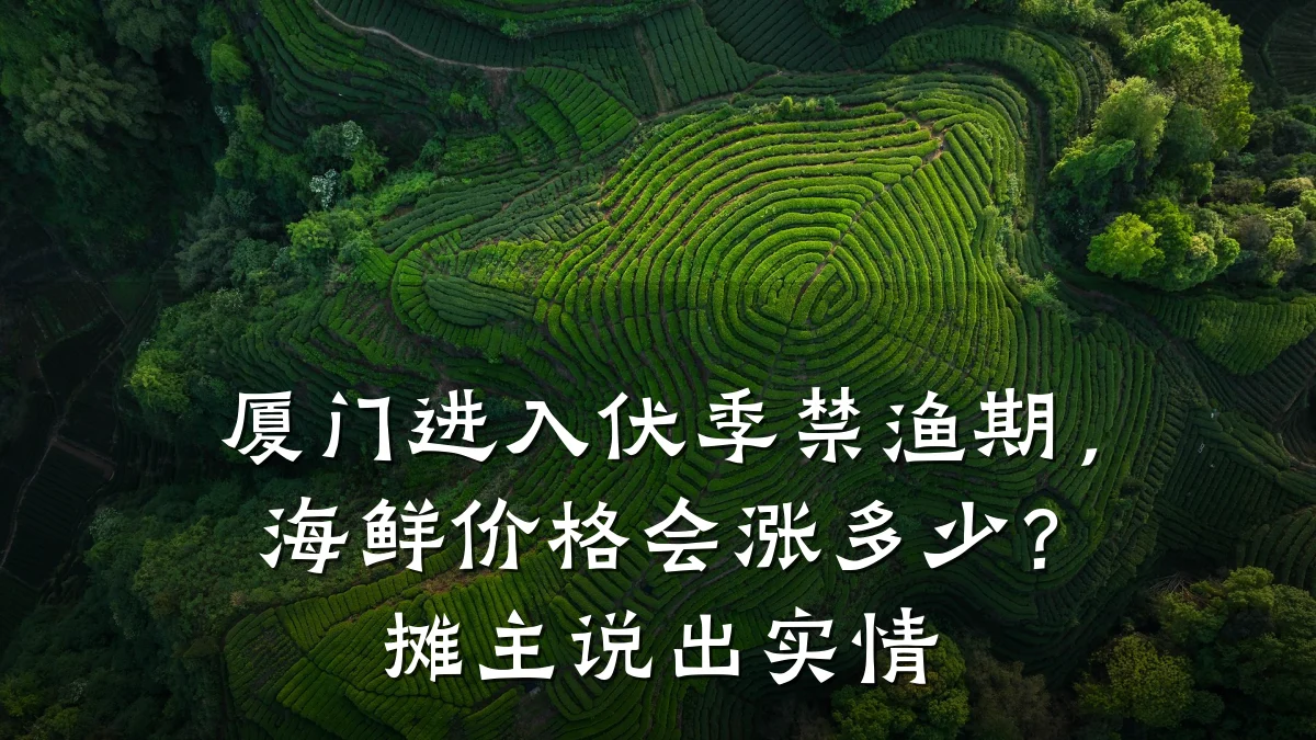 厦门进入伏季禁渔期，海鲜价格会涨多少？摊主说出实情