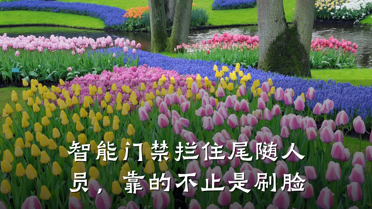 智能门禁拦住尾随人员，靠的不止是刷脸