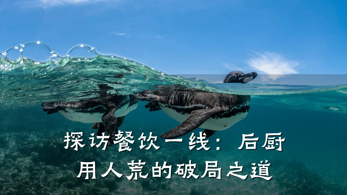 探访餐饮一线:后厨用人荒的破局之道