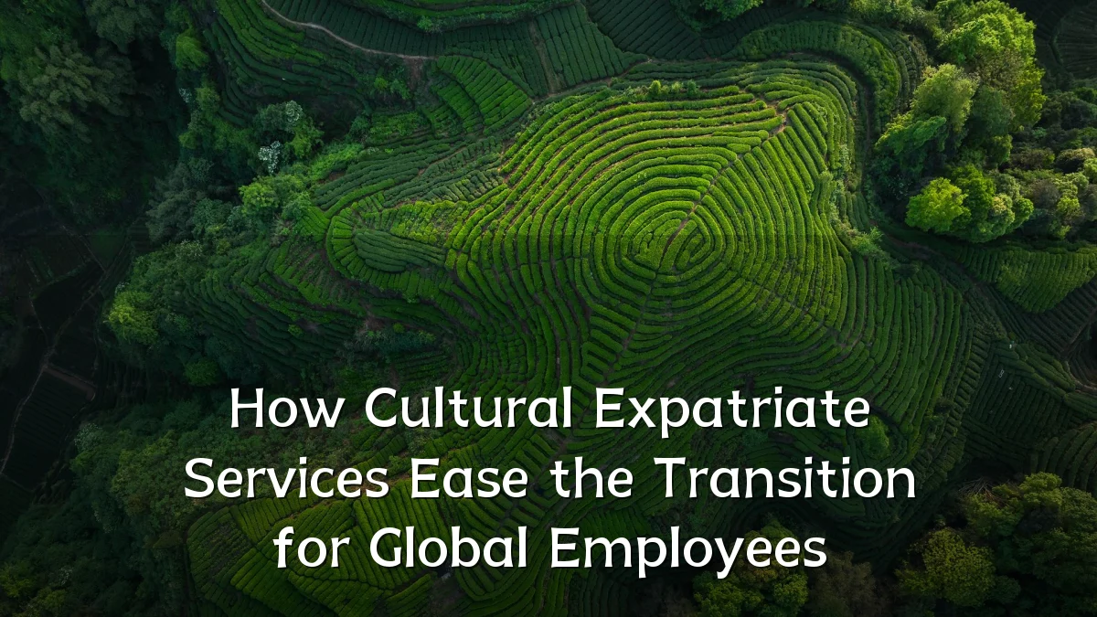 How Cultural Expatriate Services Ease the Transition for Global Employees