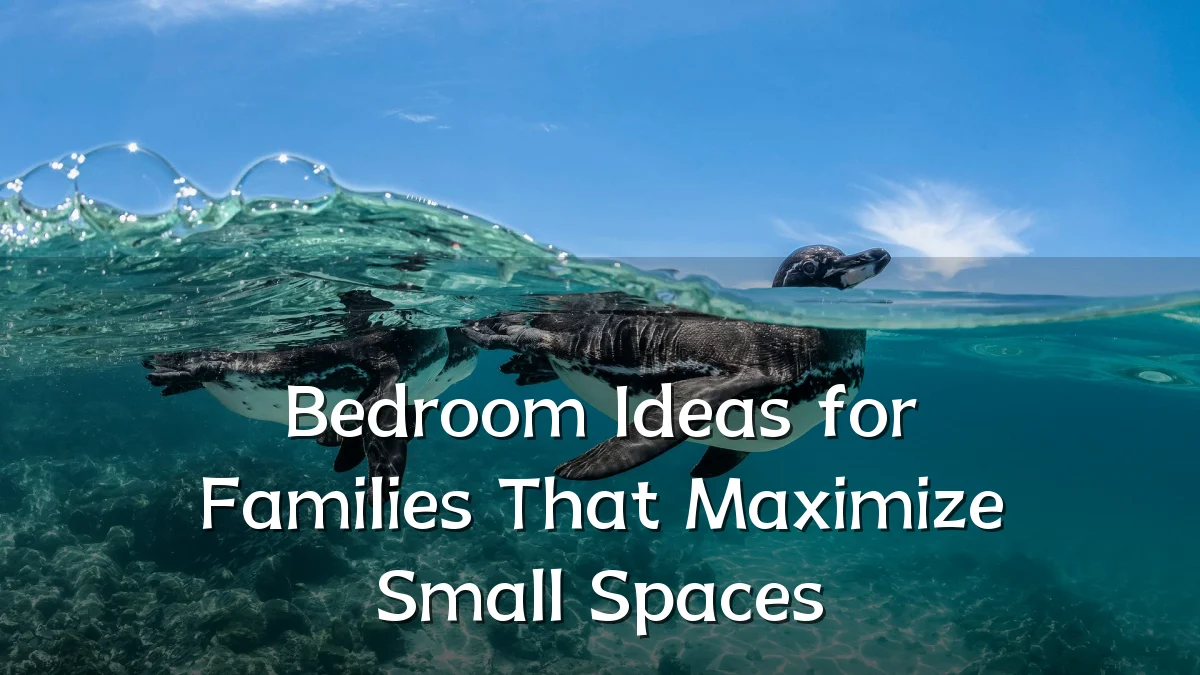 Bedroom Ideas for Families That Maximize Small Spaces