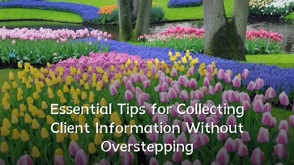 Essential Tips for Collecting Client Information Without Overstepping