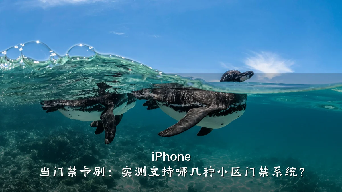 iPhone 当门禁卡刷:实测支持哪几种小区门禁系统?