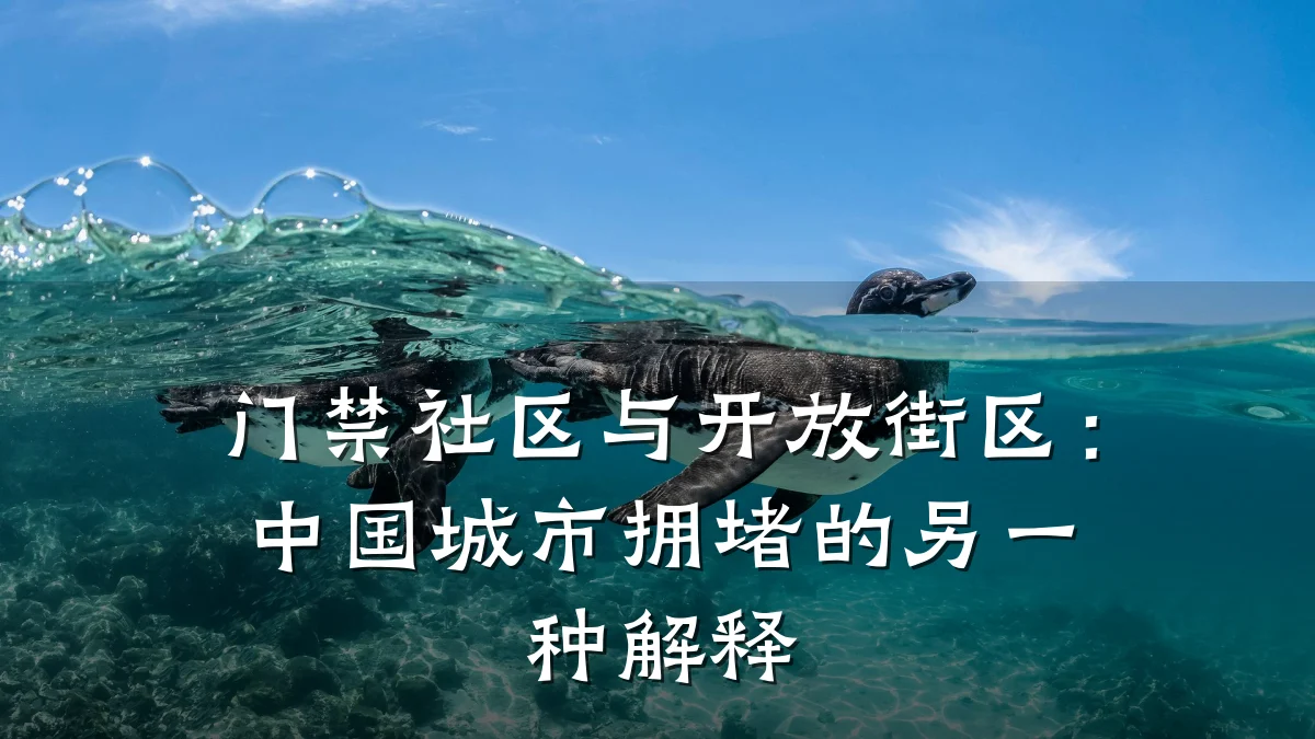 门禁社区与开放街区:中国城市拥堵的另一种解释