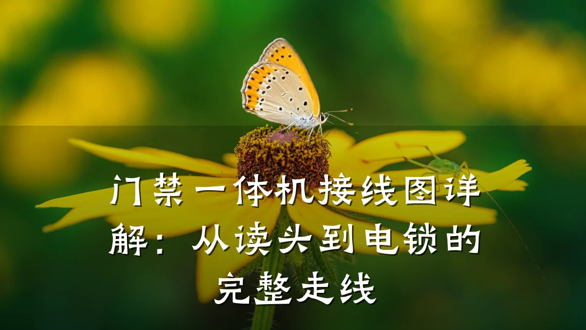 门禁一体机接线图详解：从读头到电锁的完整走线