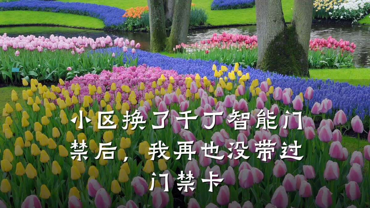 小区换了千丁智能门禁后，我再也没带过门禁卡