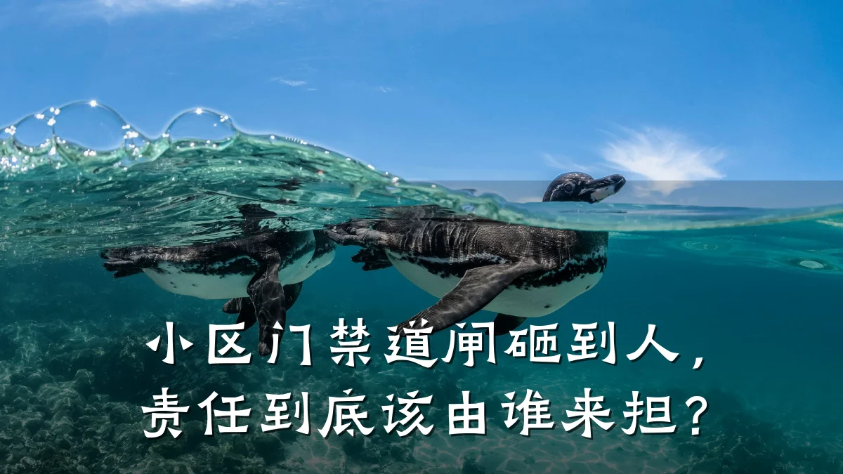 小区门禁道闸砸到人，责任到底该由谁来担？