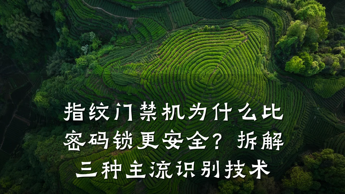 指纹门禁机为什么比密码锁更安全？拆解三种主流识别技术