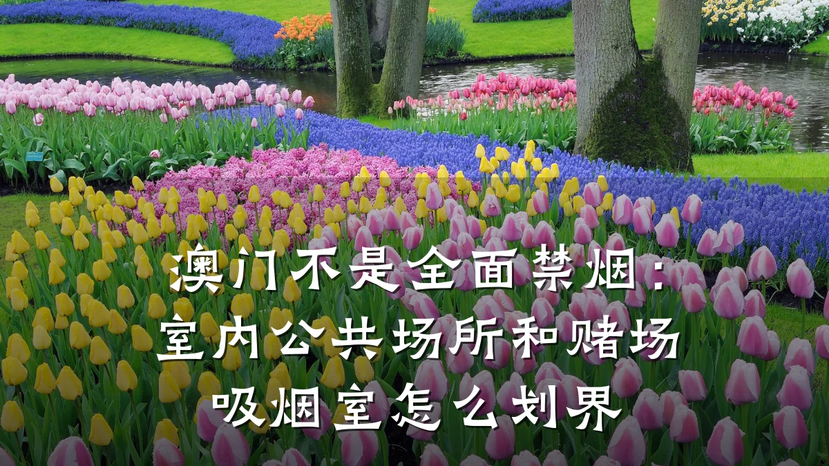 澳门不是全面禁烟：室内公共场所和赌场吸烟室怎么划界
