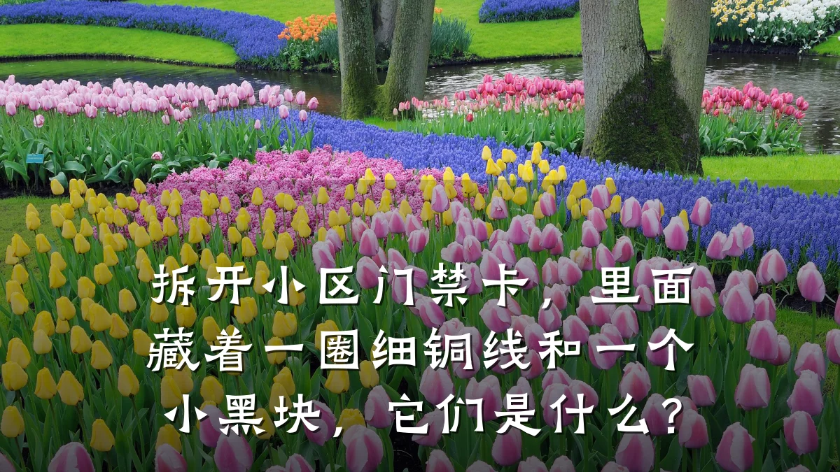 拆开小区门禁卡，里面藏着一圈细铜线和一个小黑块，它们是什么？