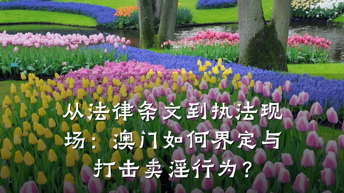 从法律条文到执法现场：澳门如何界定与打击卖淫行为？
