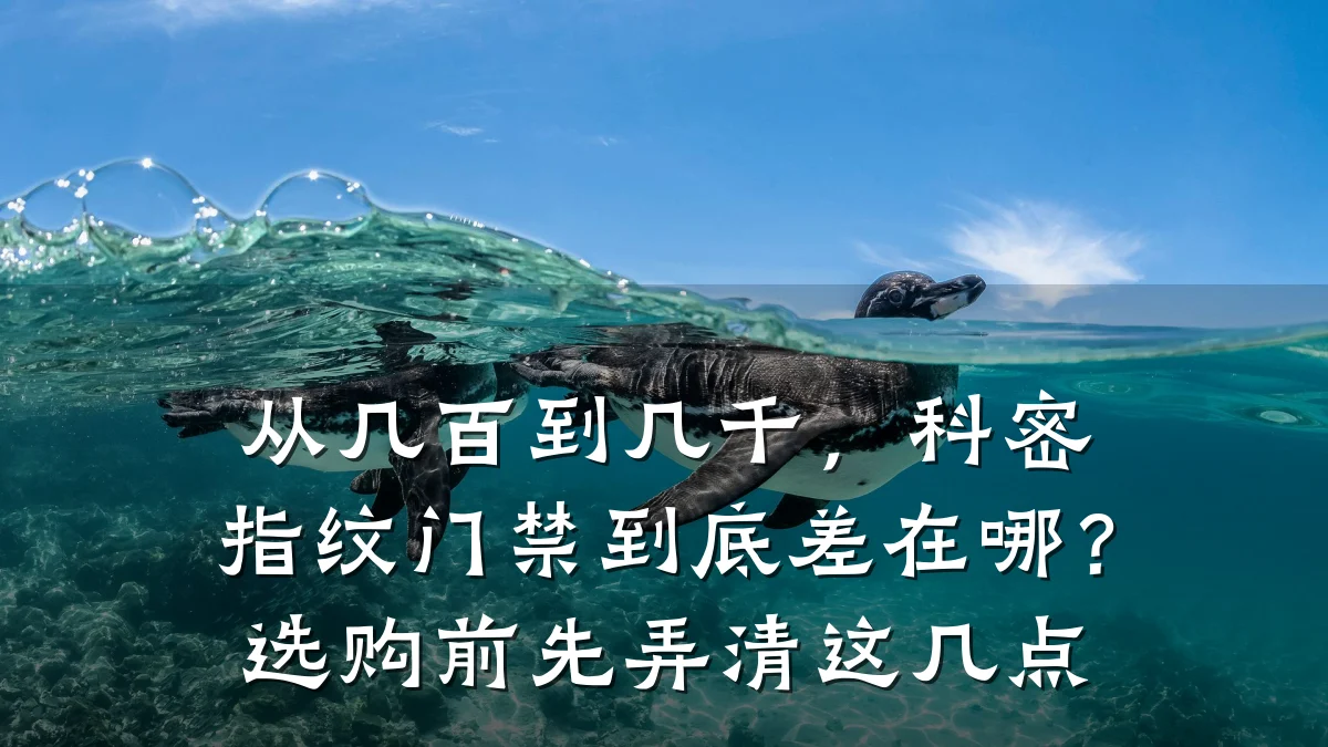 从几百到几千，科密指纹门禁到底差在哪？选购前先弄清这几点
