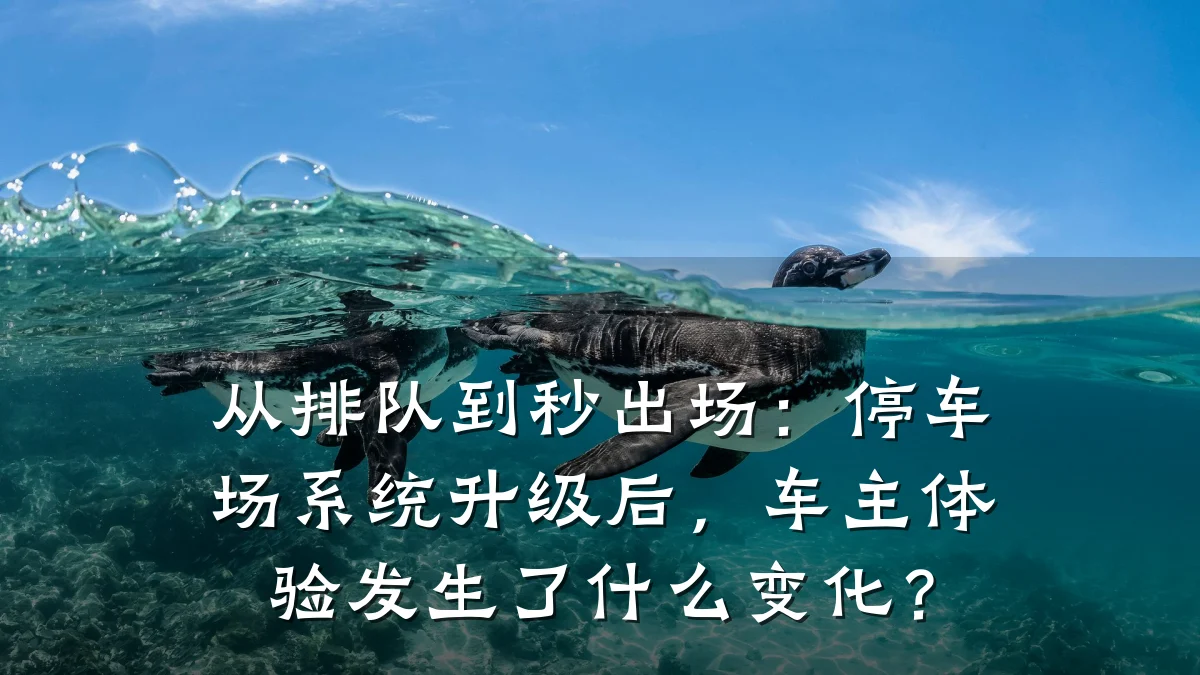 从排队到秒出场：停车场系统升级后，车主体验发生了什么变化？