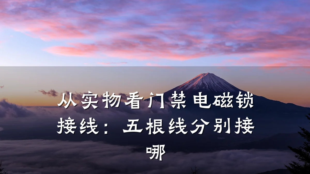 从实物看门禁电磁锁接线：五根线分别接哪
