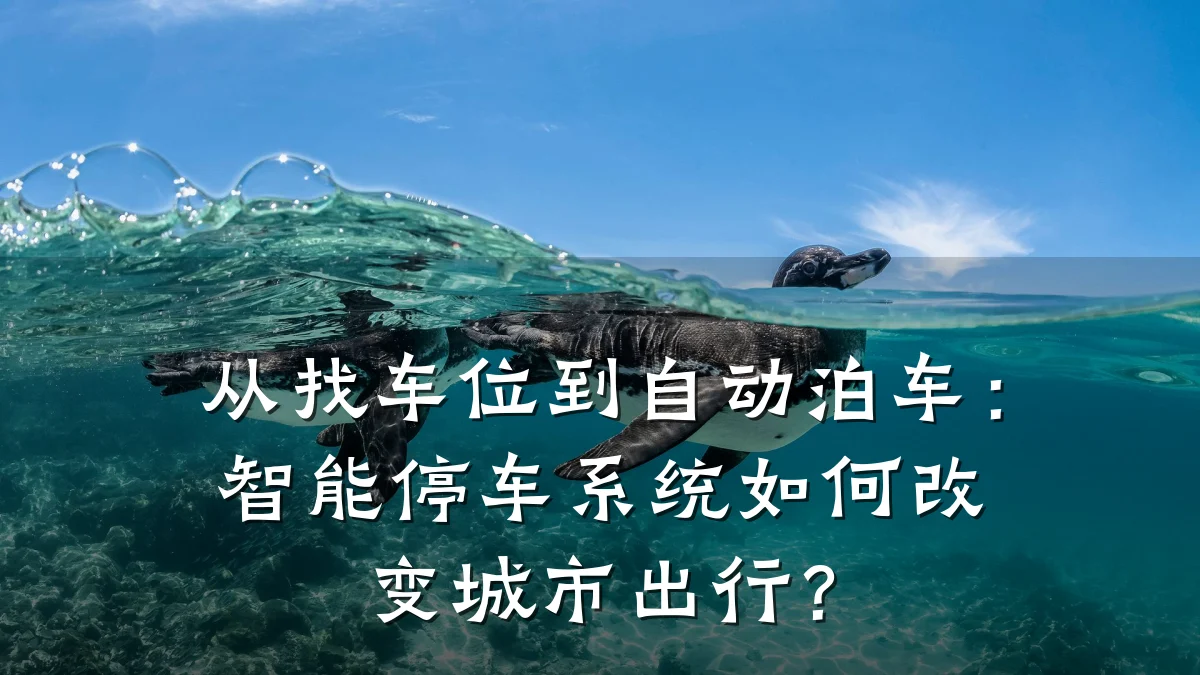 从找车位到自动泊车：智能停车系统如何改变城市出行？