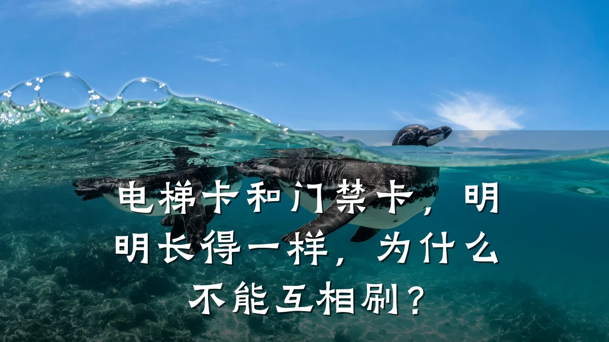 电梯卡和门禁卡，明明长得一样，为什么不能互相刷？