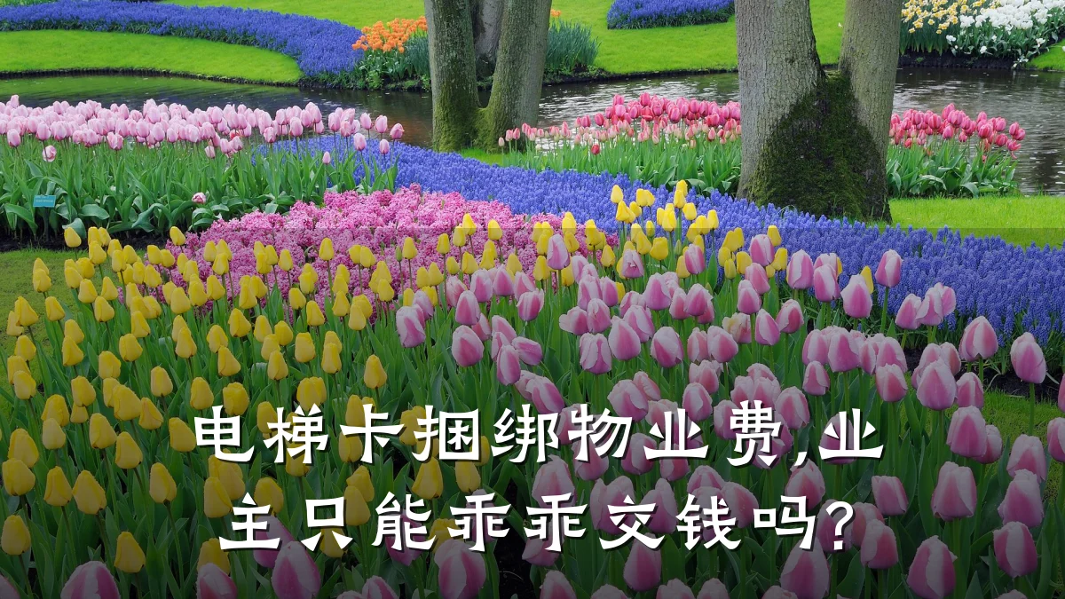 电梯卡捆绑物业费,业主只能乖乖交钱吗?