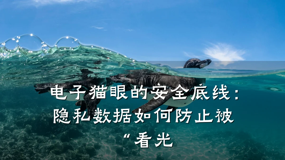 电子猫眼的安全底线：隐私数据如何防止被“看光