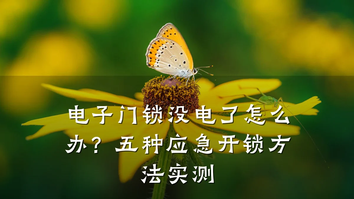 电子门锁没电了怎么办？五种应急开锁方法实测
