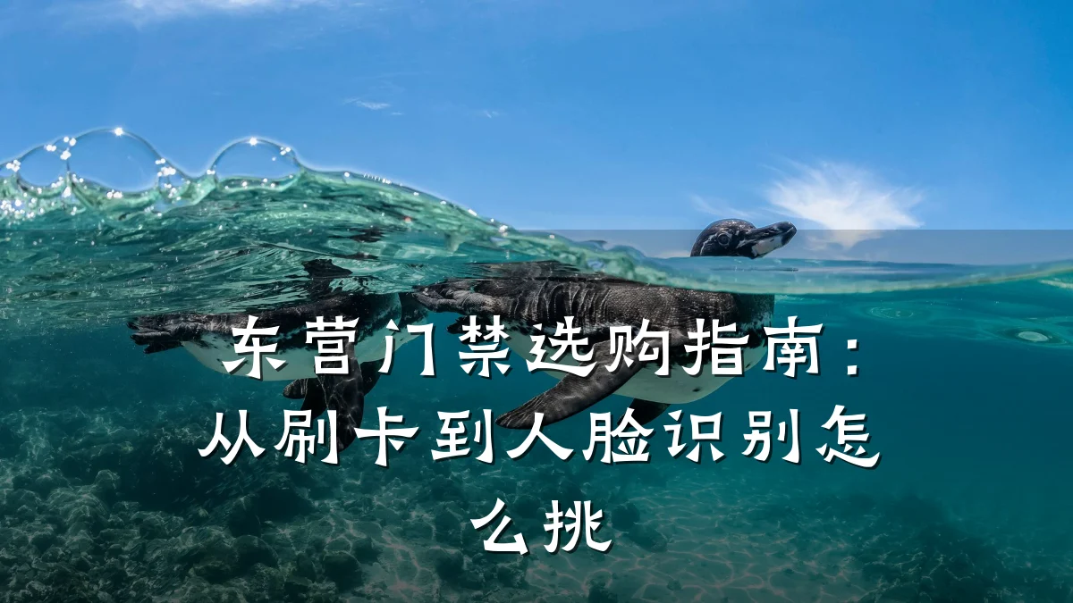 东营门禁选购指南：从刷卡到人脸识别怎么挑