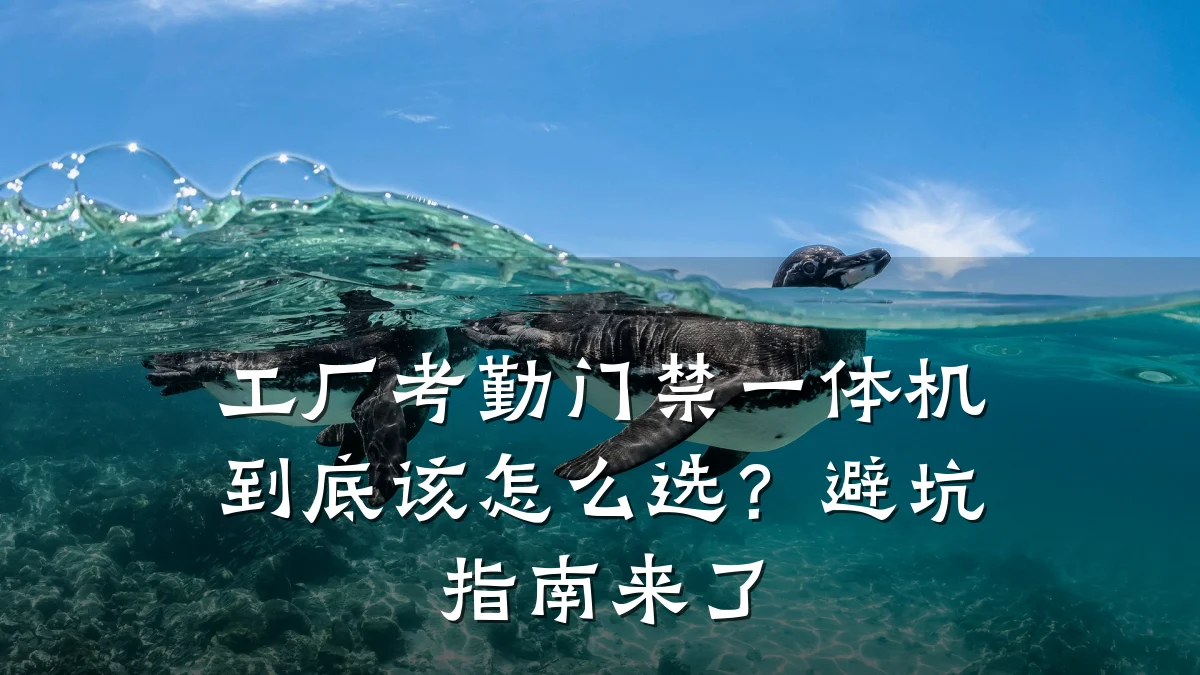 工厂考勤门禁一体机到底该怎么选？避坑指南来了