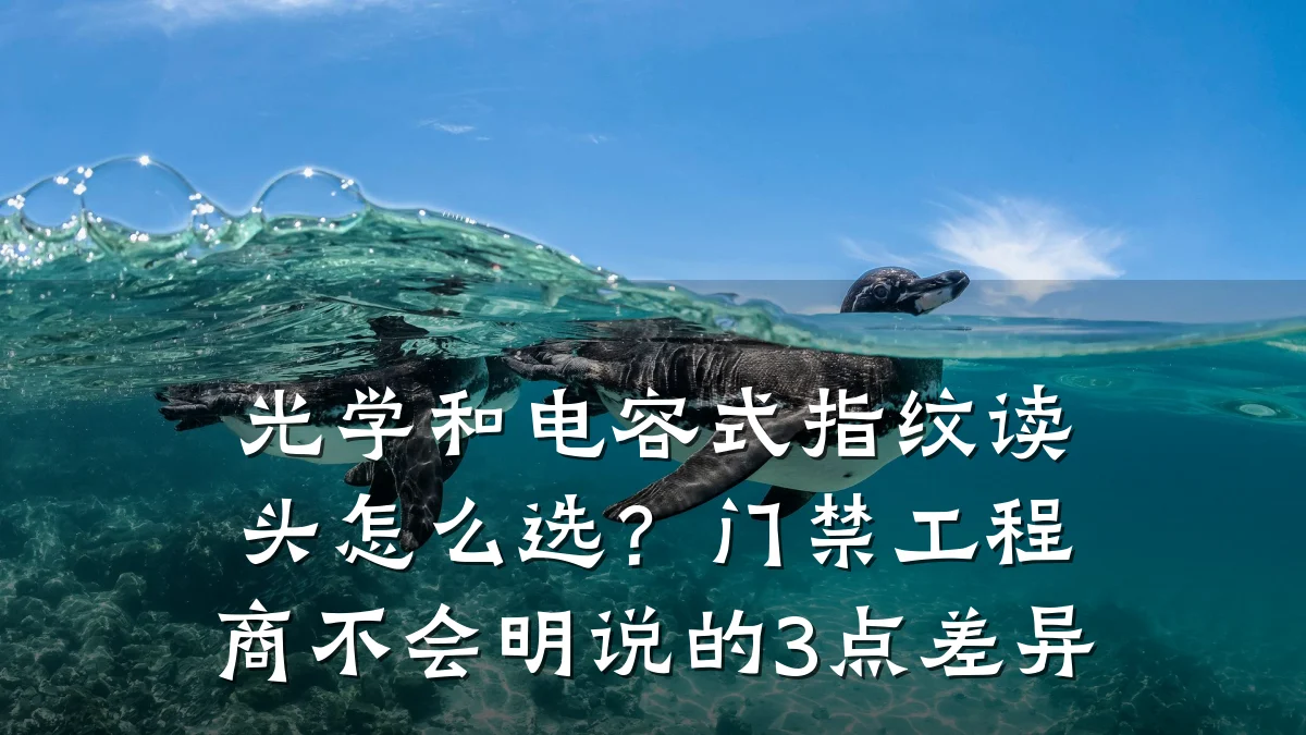 光学和电容式指纹读头怎么选？门禁工程商不会明说的3点差异