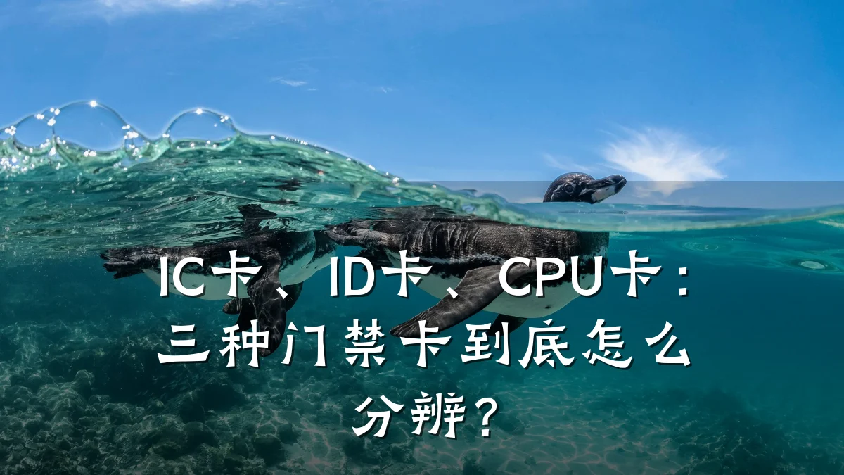 IC卡、ID卡、CPU卡:三种门禁卡到底怎么分辨?