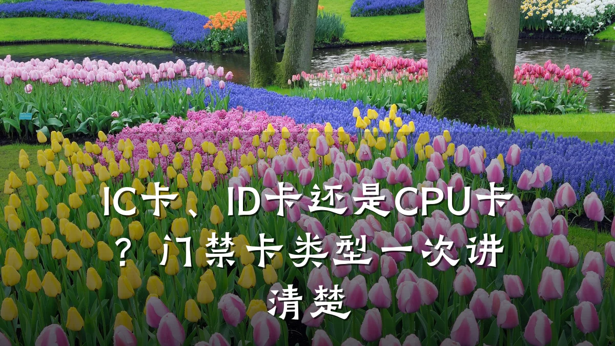 IC卡、ID卡还是CPU卡？门禁卡类型一次讲清楚