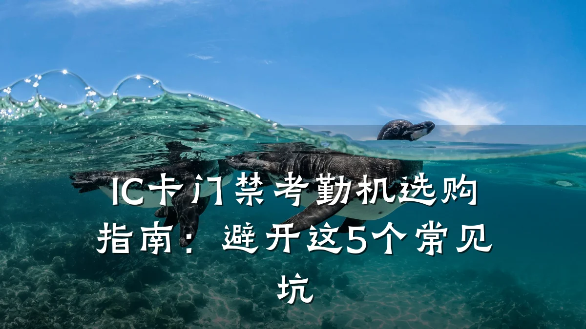 IC卡门禁考勤机选购指南：避开这5个常见坑
