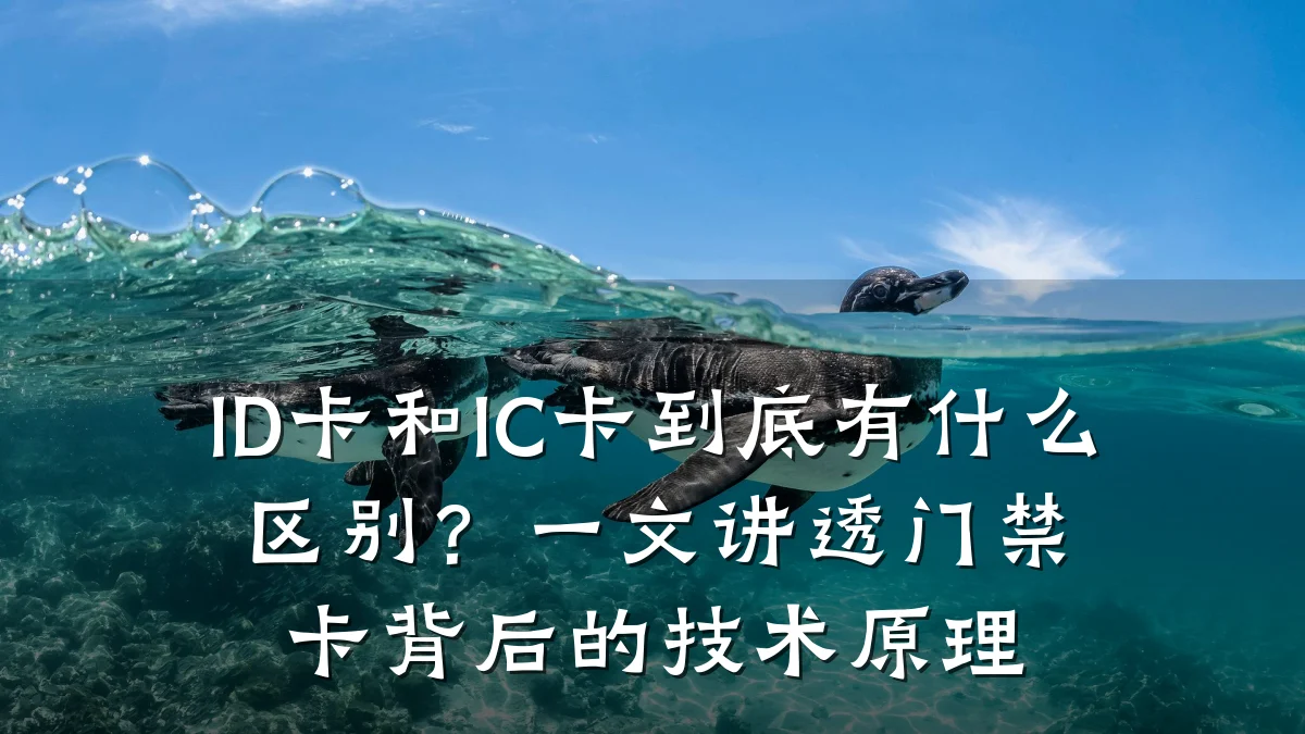 ID卡和IC卡到底有什么区别？一文讲透门禁卡背后的技术原理