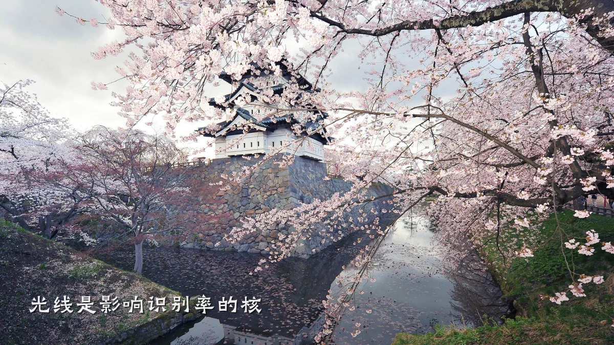 光线是影响识别率的核