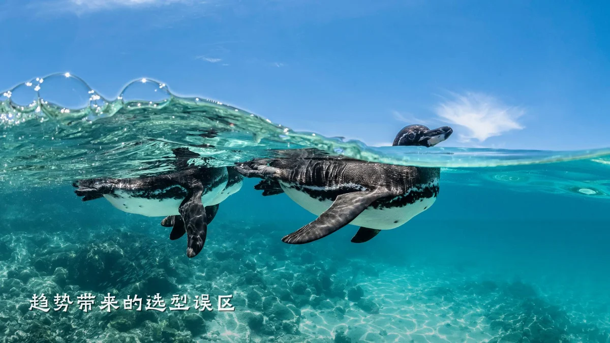 趋势带来的选型误区