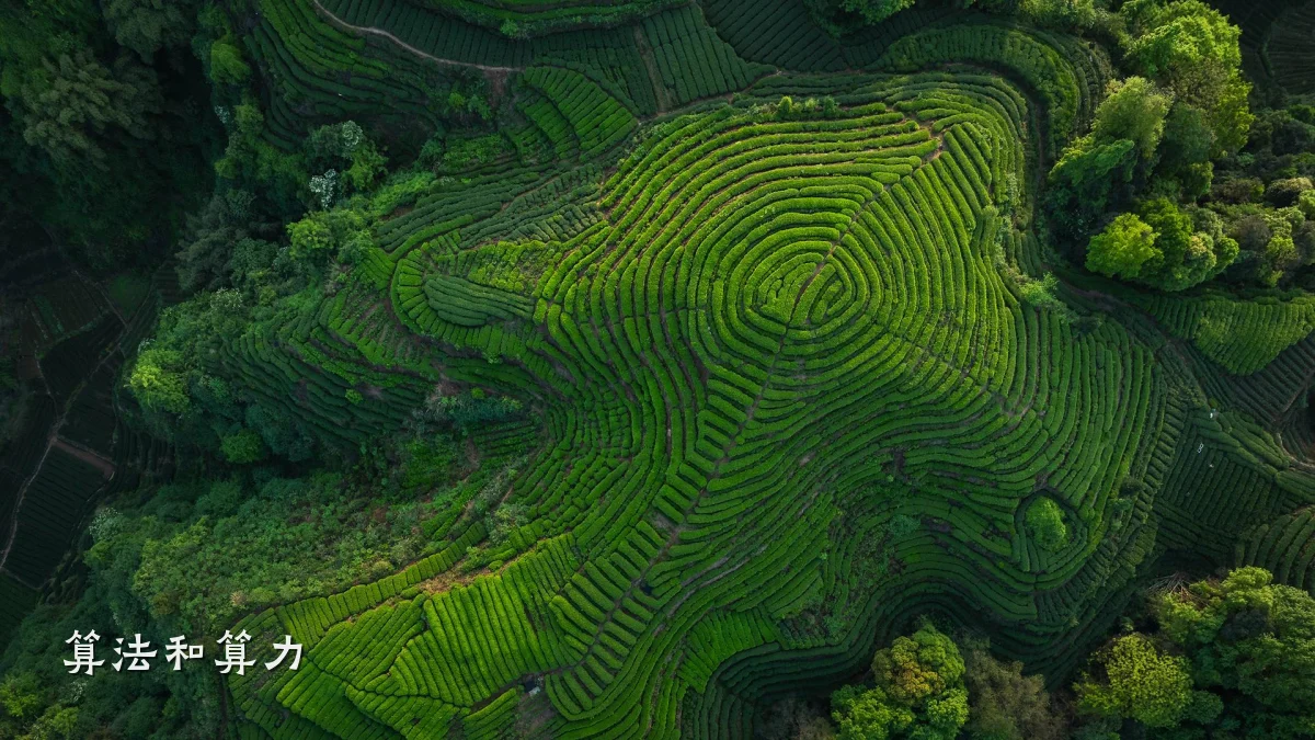 算法和算力