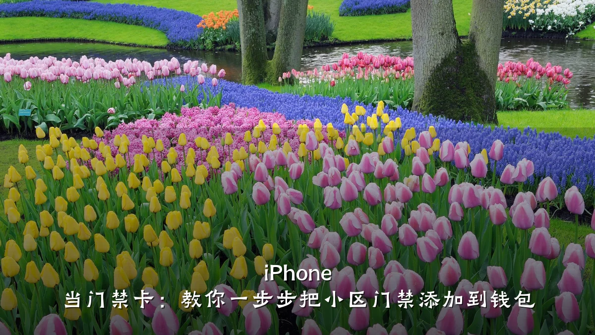 iPhone 当门禁卡：教你一步步把小区门禁添加到钱包