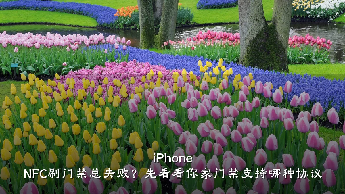 iPhone NFC刷门禁总失败？先看看你家门禁支持哪种协议