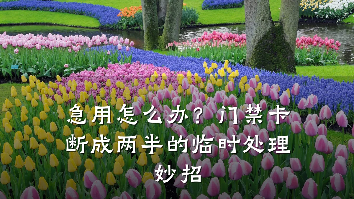 急用怎么办？门禁卡断成两半的临时处理妙招