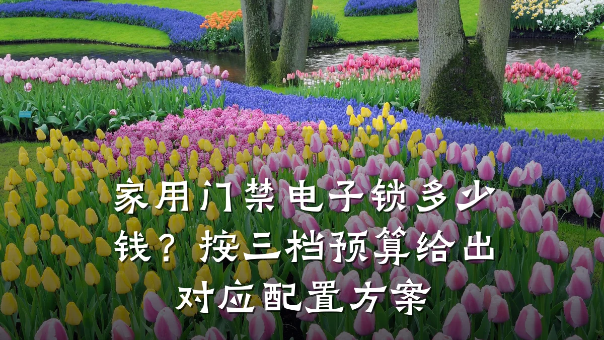 家用门禁电子锁多少钱？按三档预算给出对应配置方案