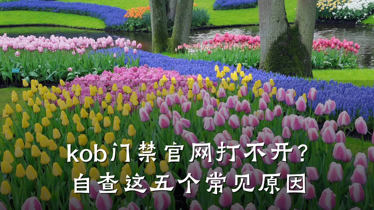 kob门禁官网打不开？自查这五个常见原因