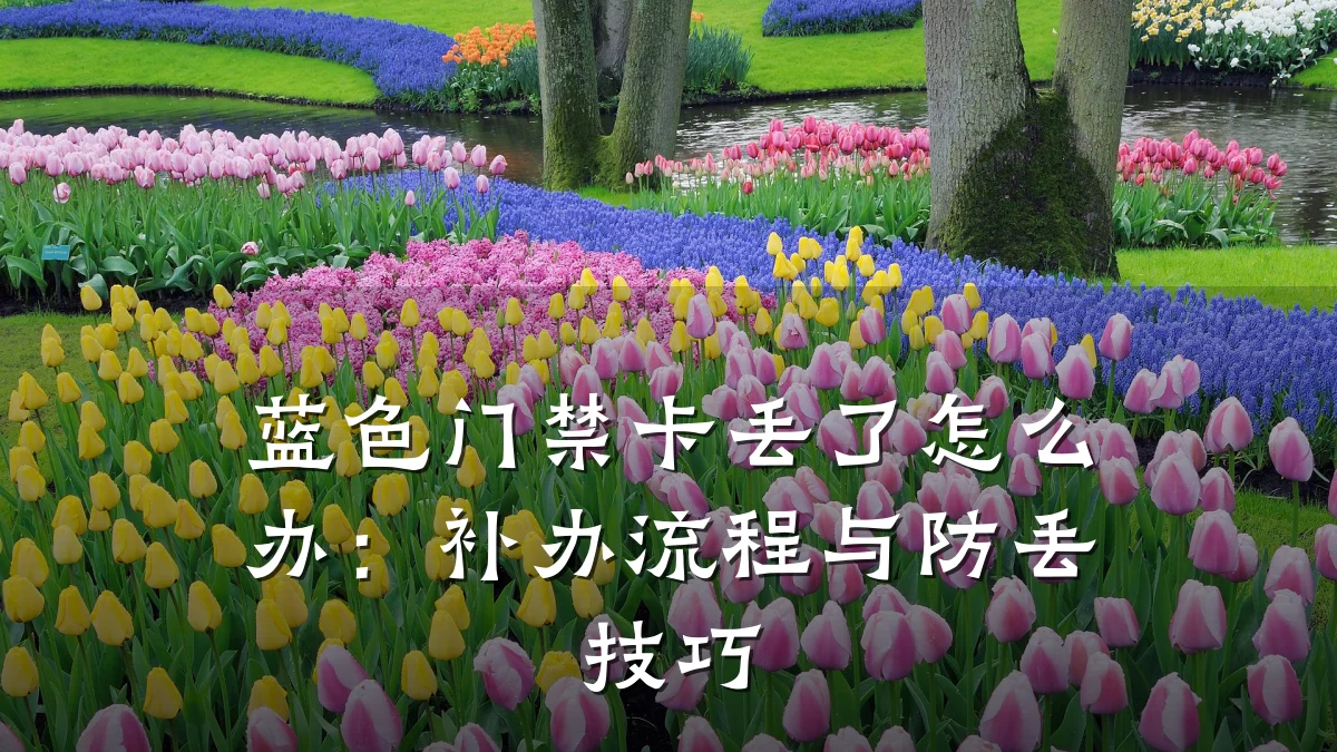 蓝色门禁卡丢了怎么办:补办流程与防丢技巧
