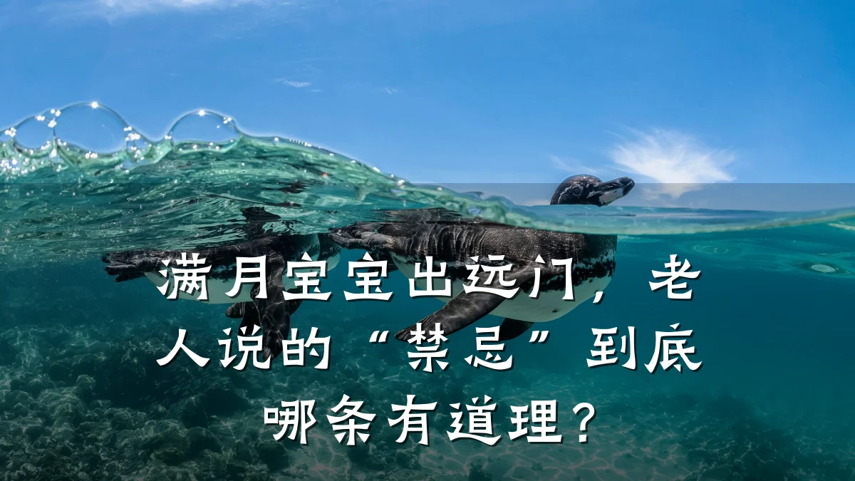满月宝宝出远门，老人说的“禁忌”到底哪条有道理？