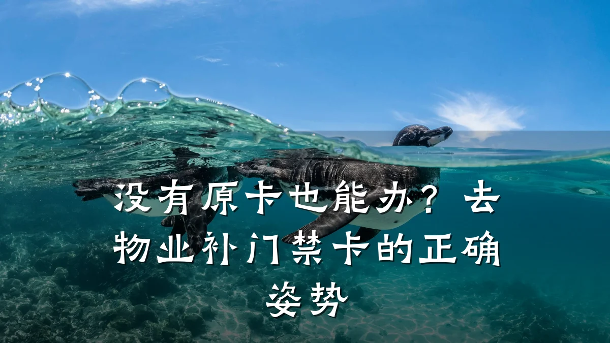 没有原卡也能办？去物业补门禁卡的正确姿势