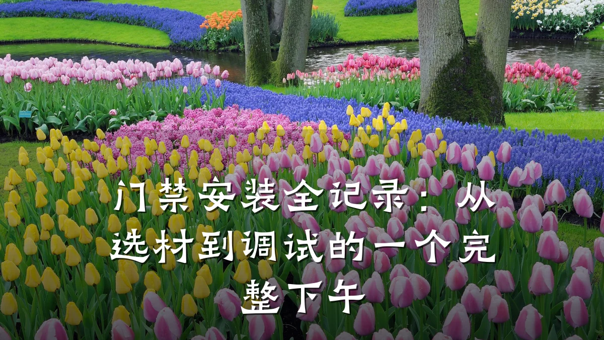 门禁安装全记录：从选材到调试的一个完整下午
